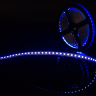 Лента светодиодная стандарт 3528, 120 LED/м, 9,6 Вт/м, 12В , IP20, Цвет: Синий